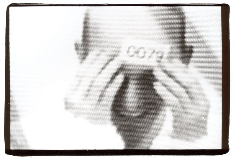 File:Erlend.jpg
