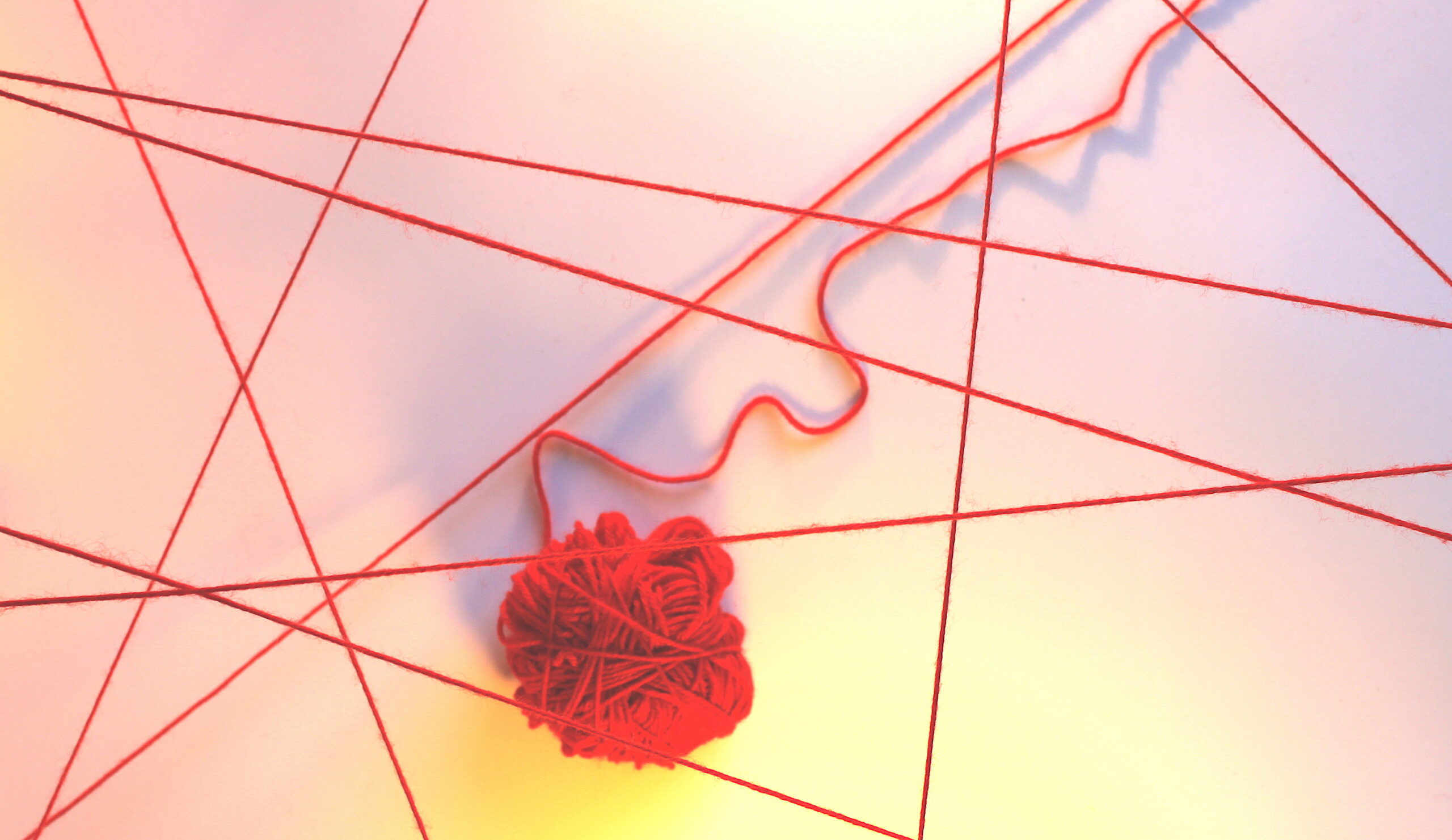 Yarn. Photo by Liv Hernø-Toftild.