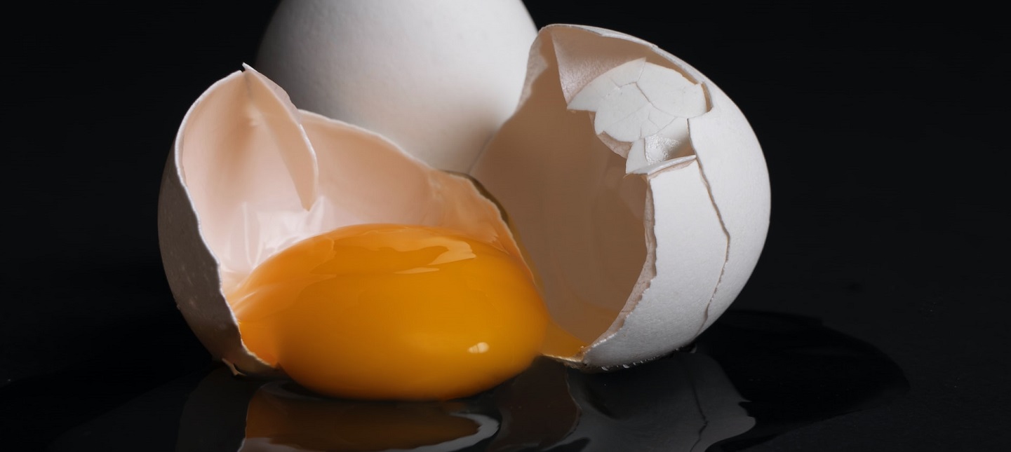 Beyond Cracking Eggs