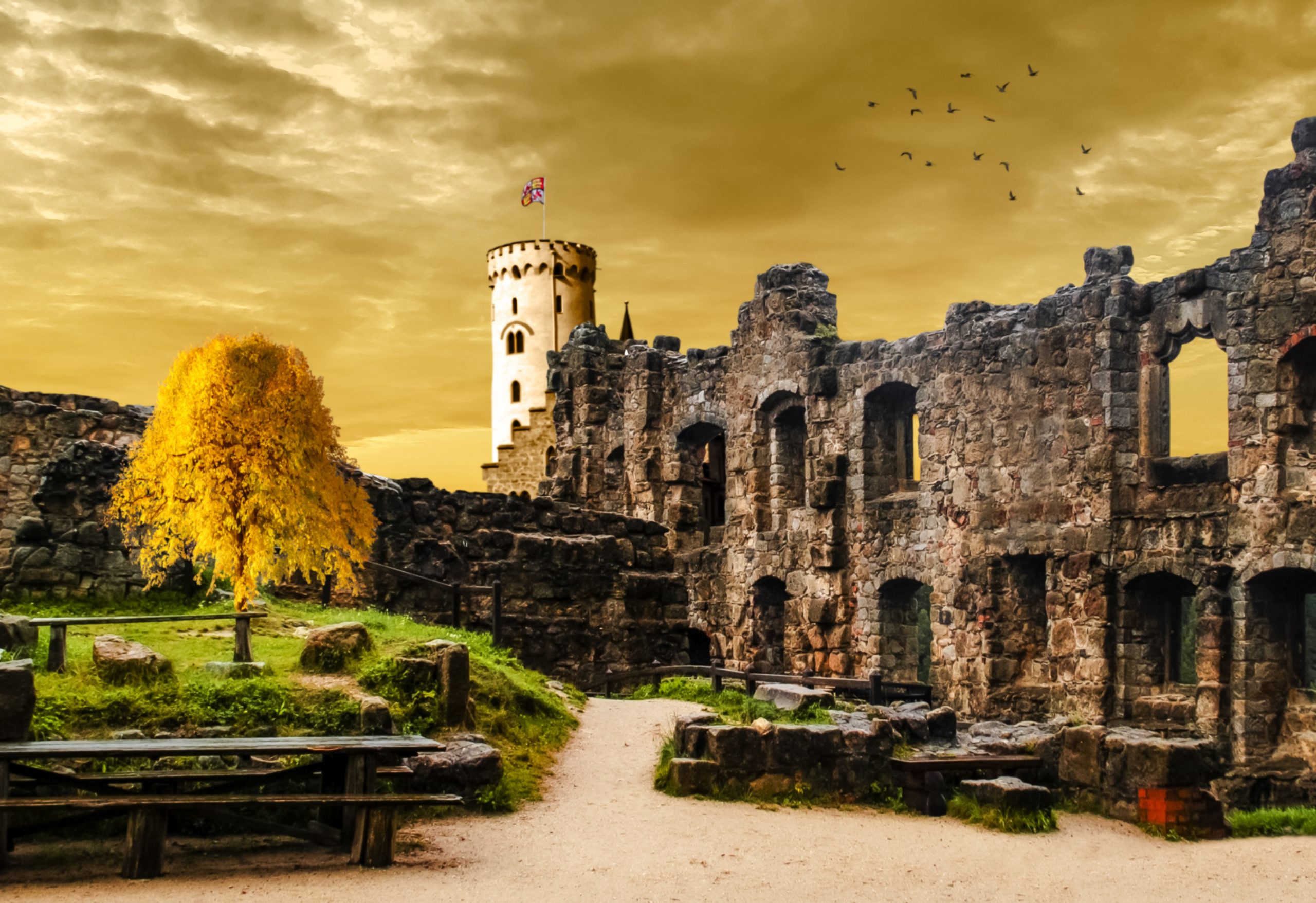 Challenging the Popularized Narrative of History