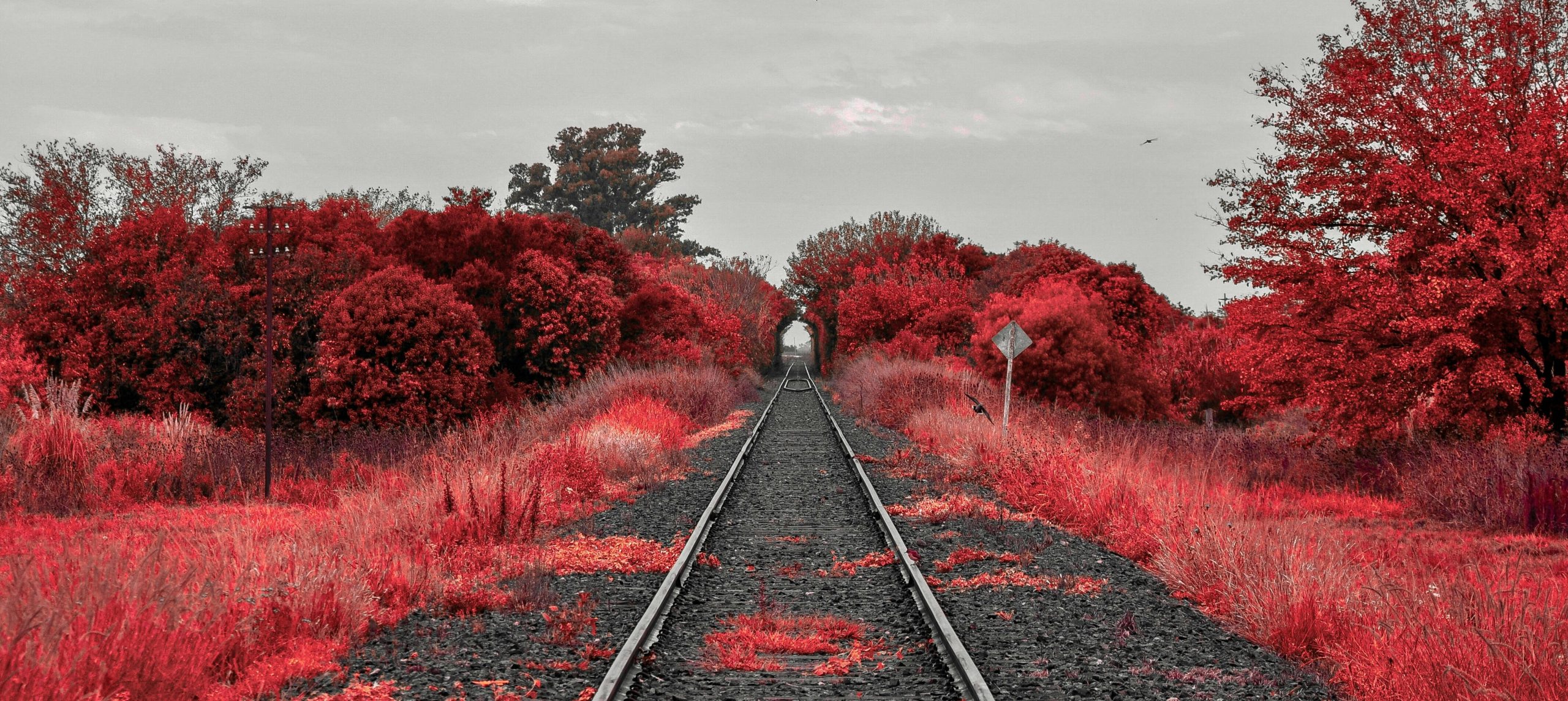 Strings and Rails: NPCs vs. Supporting Characters